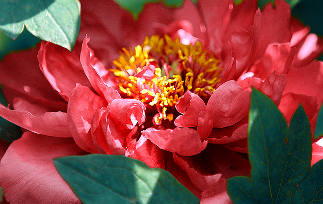 2019��ɽ�����ĵ����